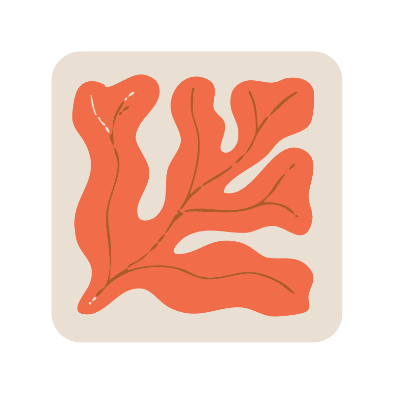 Square seaweed coaster (x1)