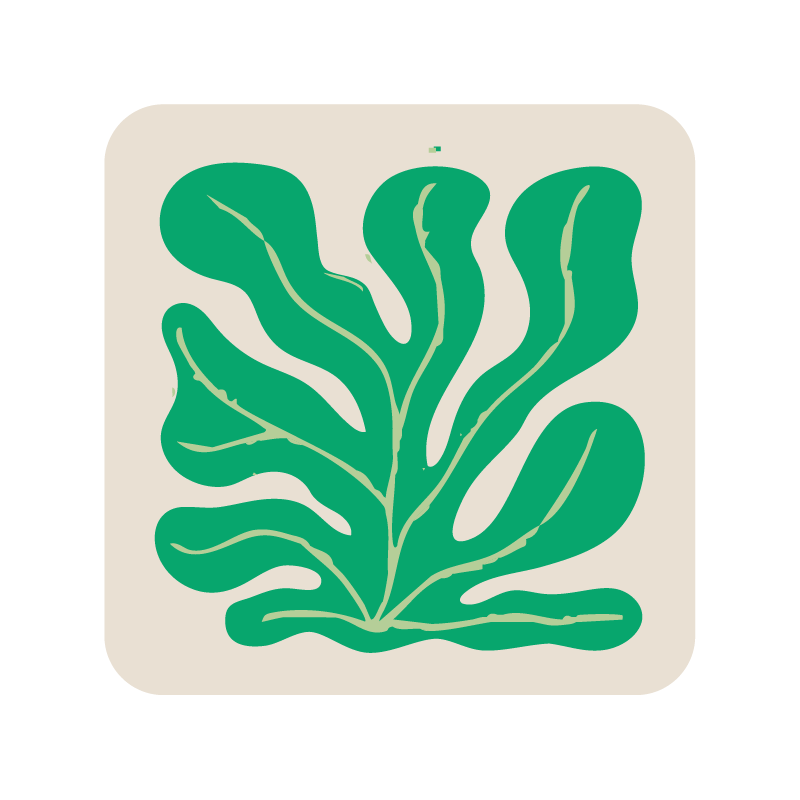 Square seaweed coaster (x1)