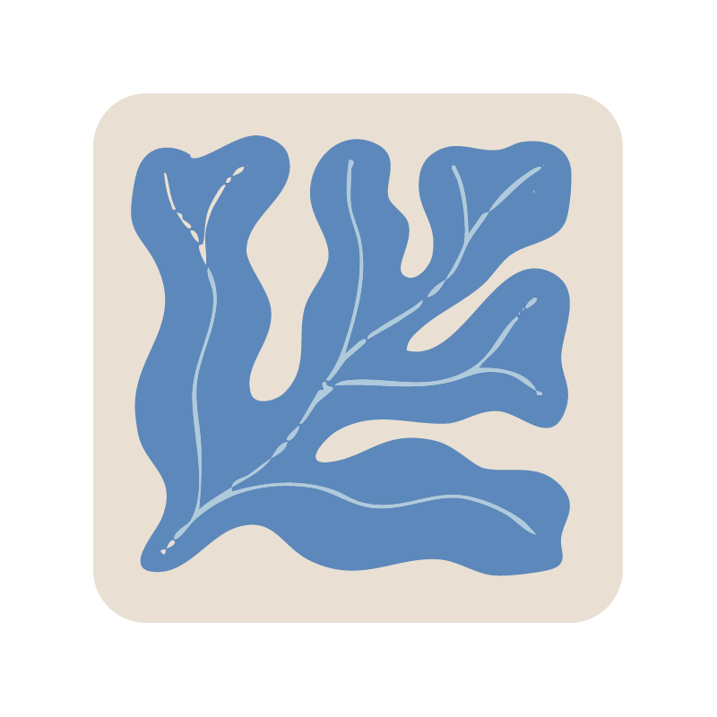 Square seaweed coaster (x1)