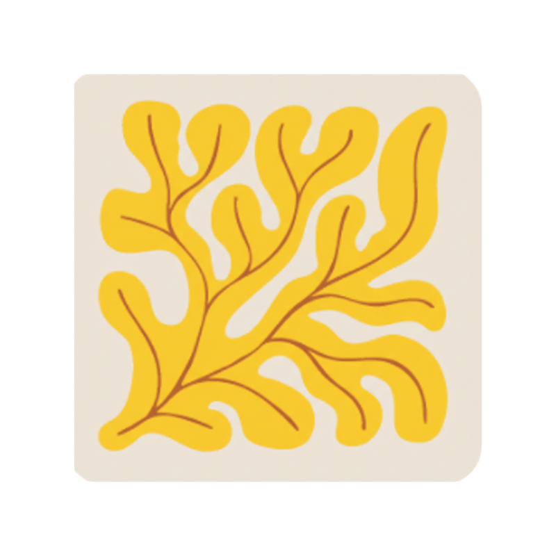 Square seaweed coaster (x1)
