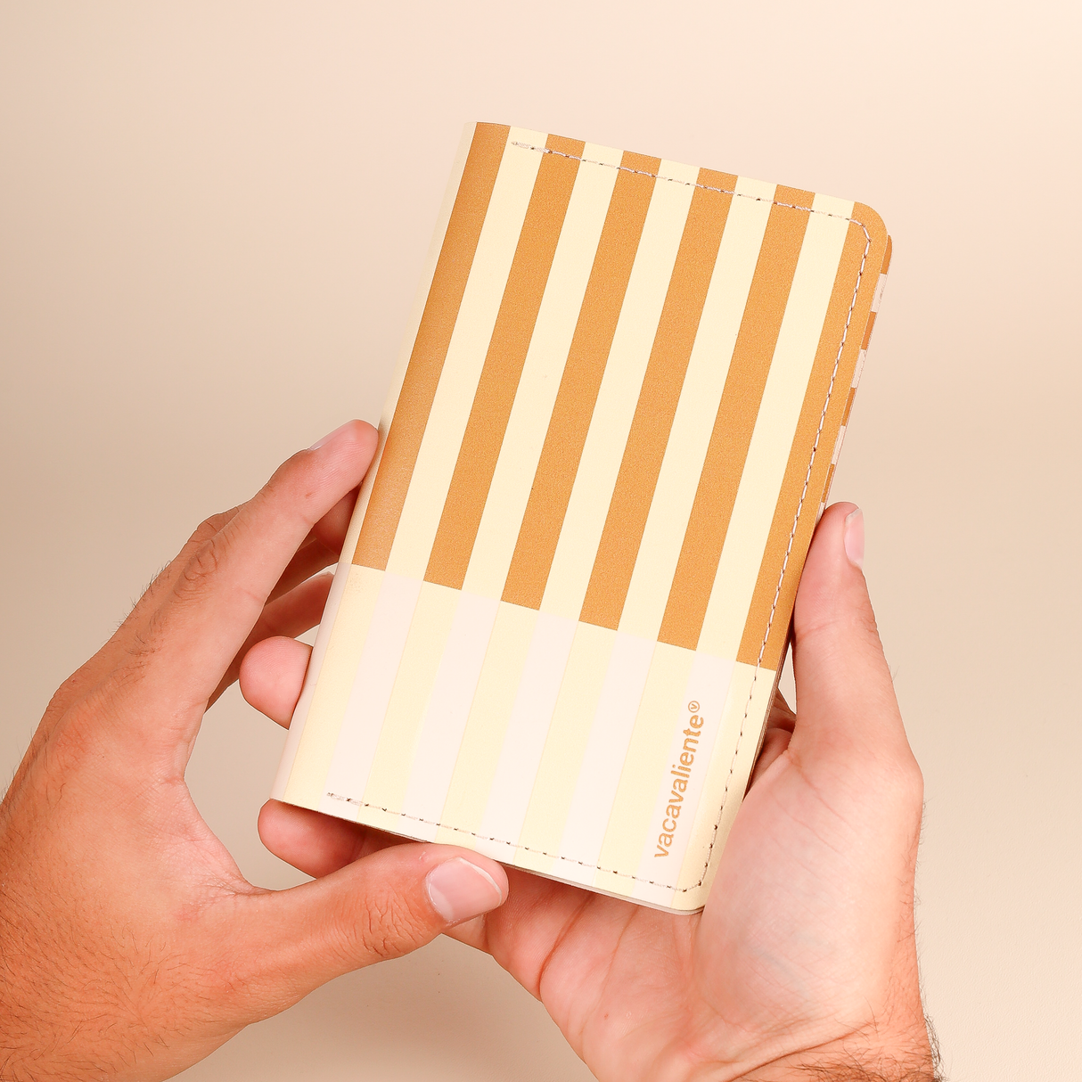 Portapasaporte Stripes