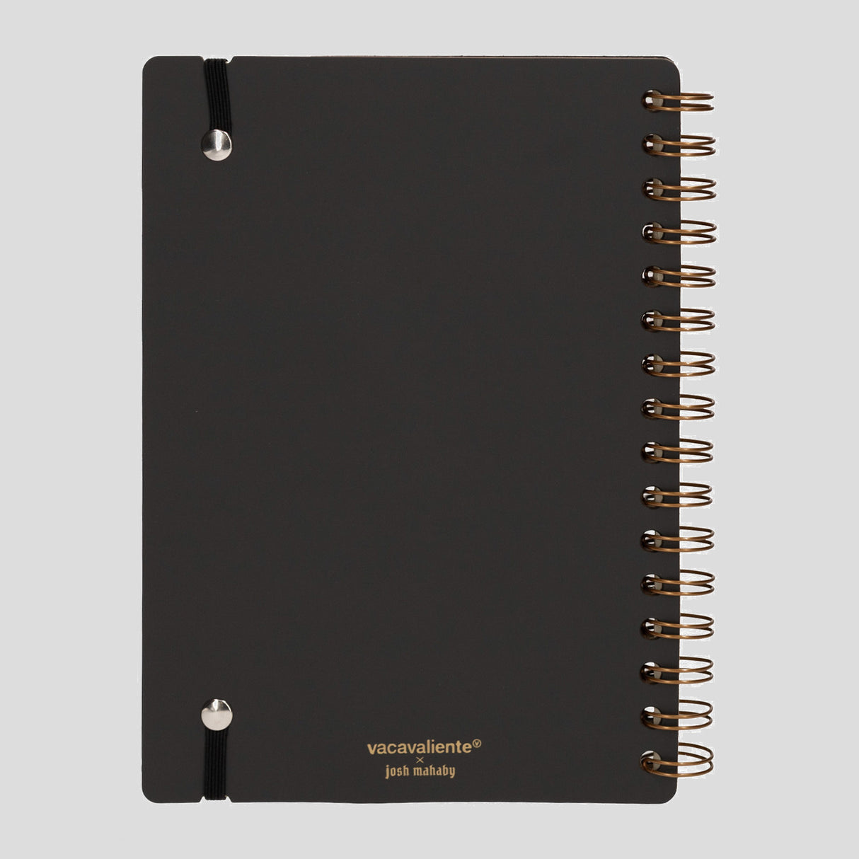 Cuaderno A5 Campeones Países Bajos