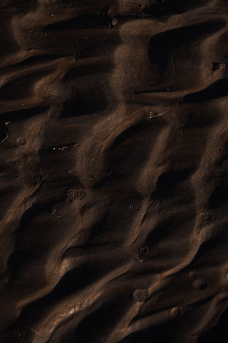 Ebony