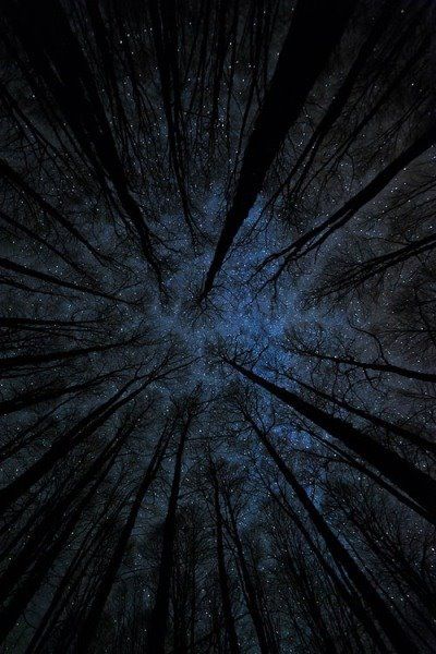 Twilight Blue