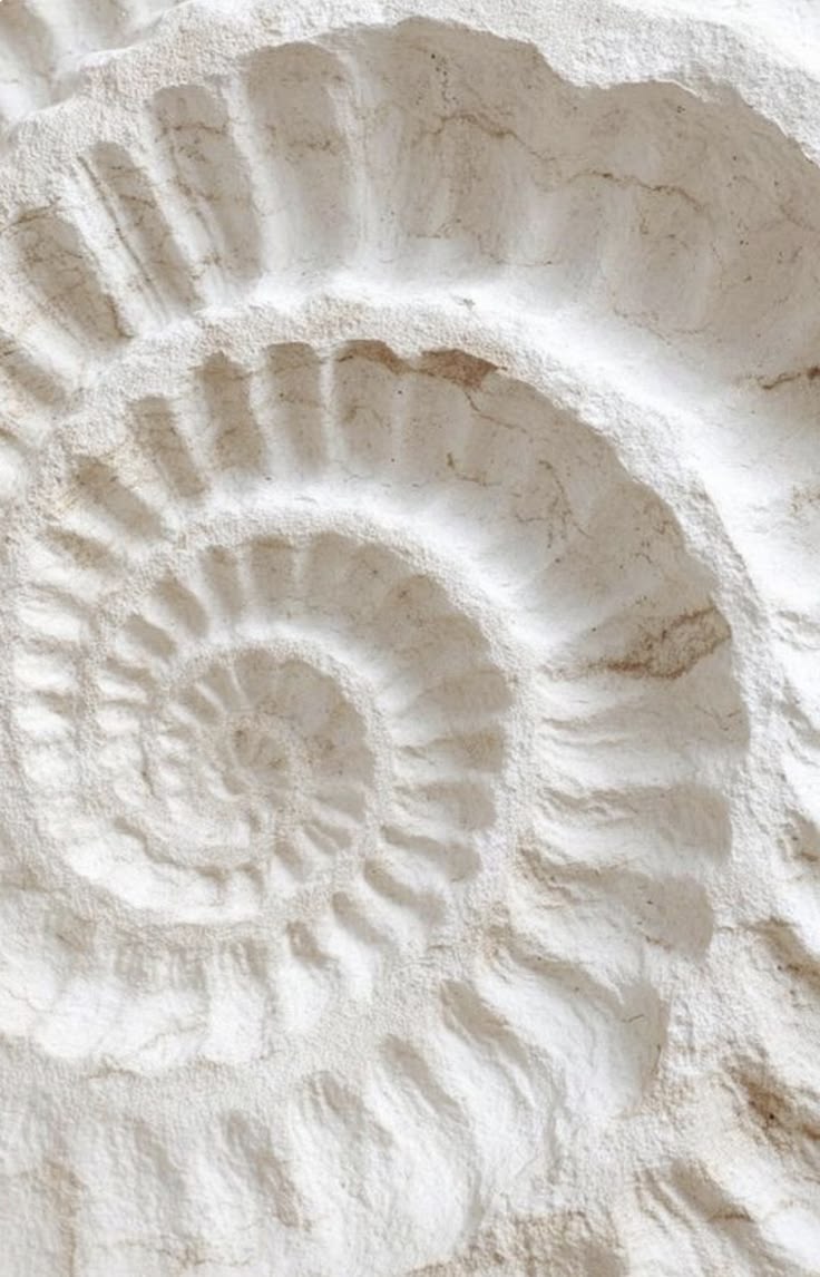 Sandshell