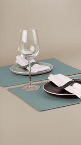 3c10916af4eb9705e5b5542f84a5833c