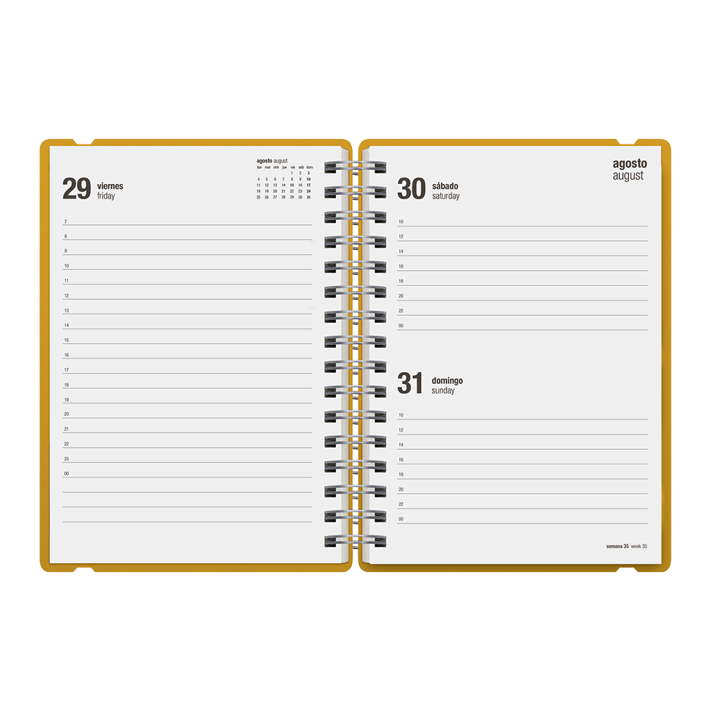 Agenda Escolar Studio A5 Diaria 25/26 Pumpkin Orange
