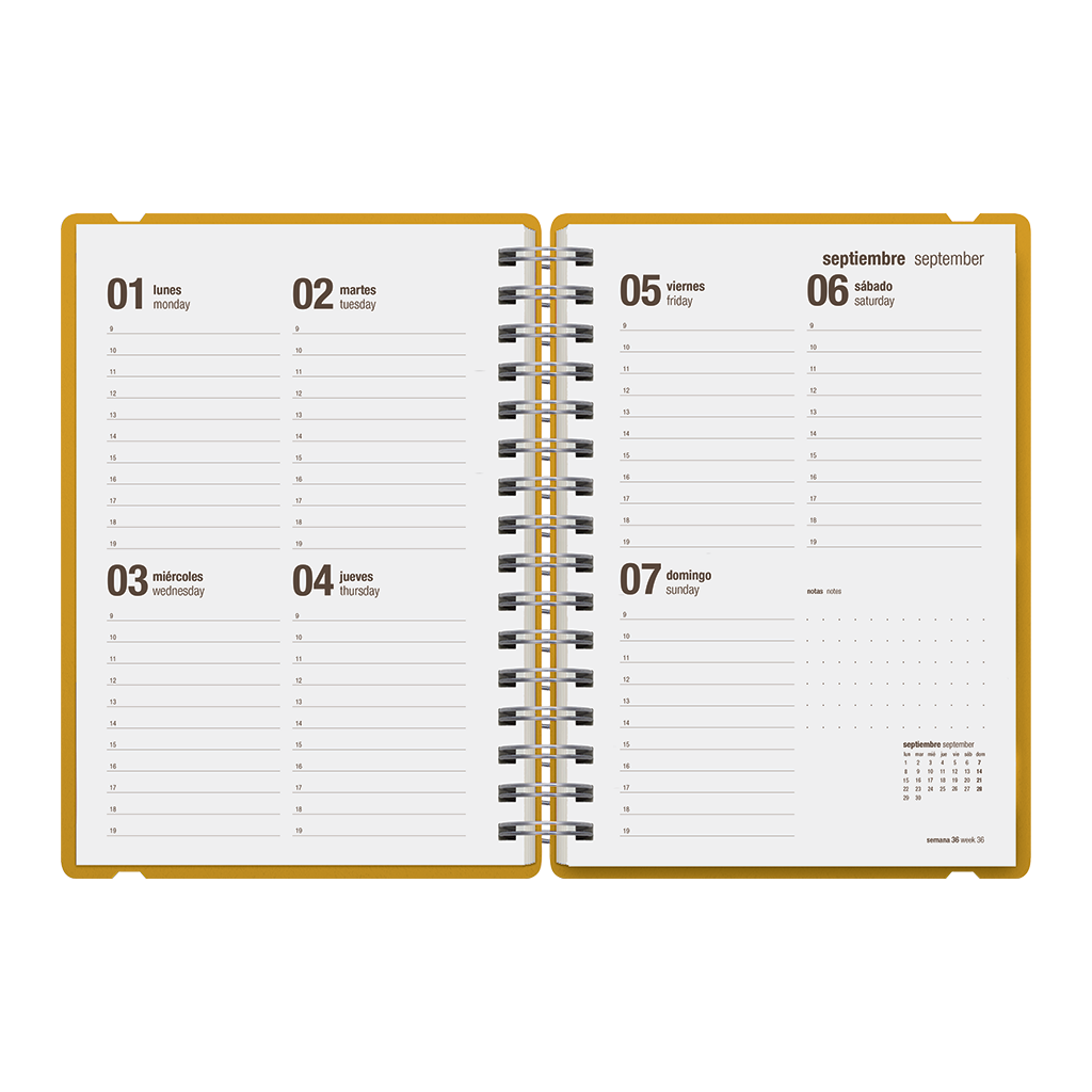 Agenda Escolar Studio A5 Semanal 25/26 Pumpkin Orange