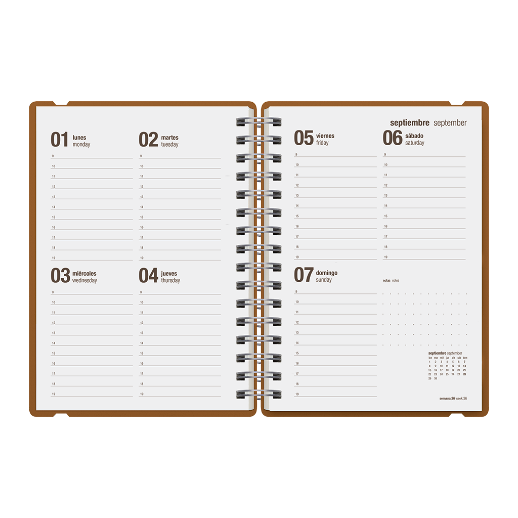 Agenda Escolar Studio A5 Semanal 25/26 Matone