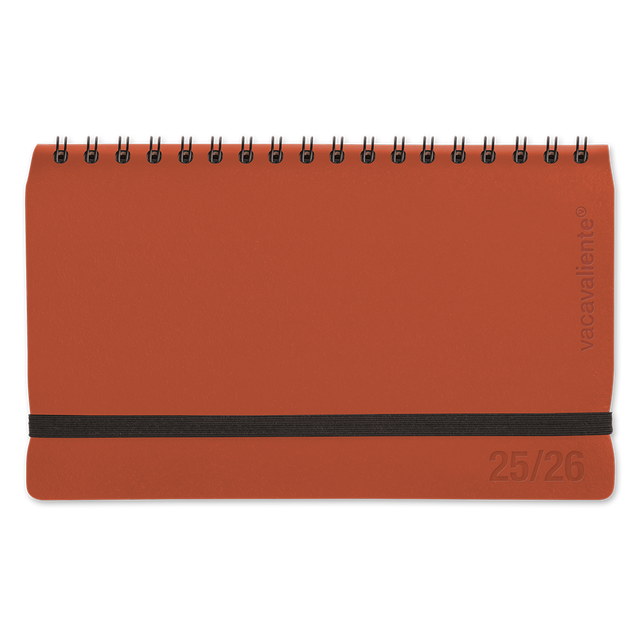 98c2c08a4b6180ca6e3a3c9bba856e42