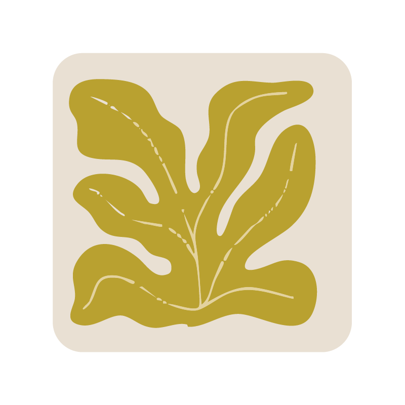 Square seaweed coaster (x1)
