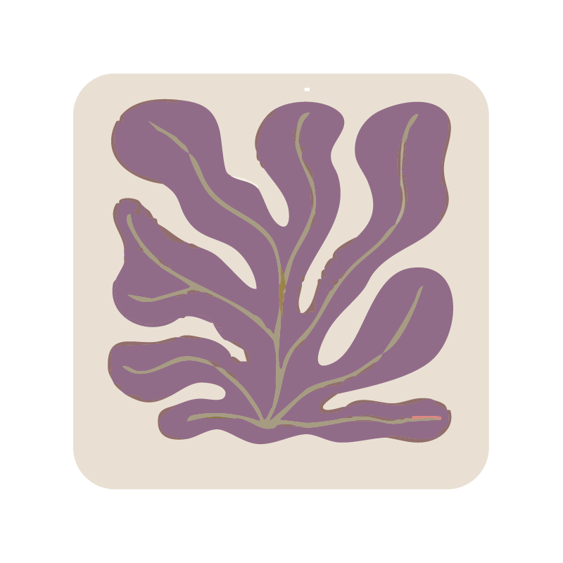 Square seaweed coaster (x1)