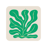 Square seaweed coaster (x1)
