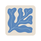 Square seaweed coaster (x1)