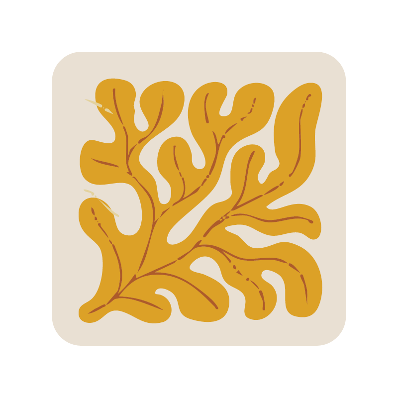 Square seaweed coaster (x1)