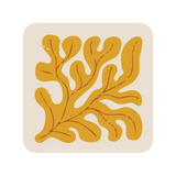 Square seaweed coaster (x1)