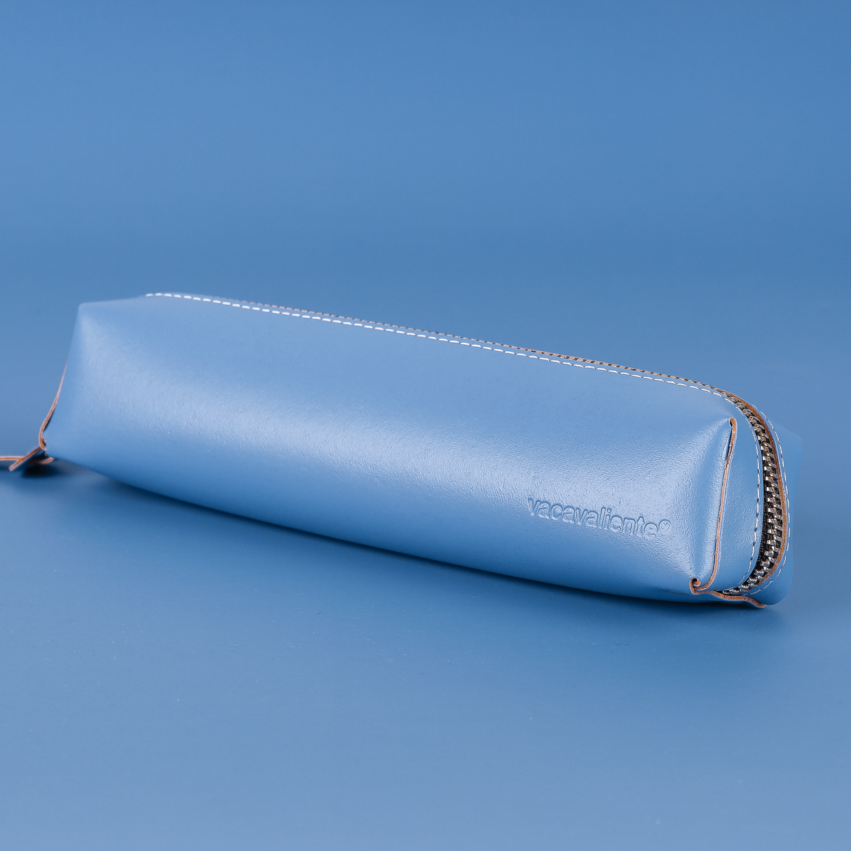 3D Case S Lichen Blue