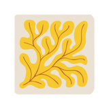 Square seaweed coaster (x1)