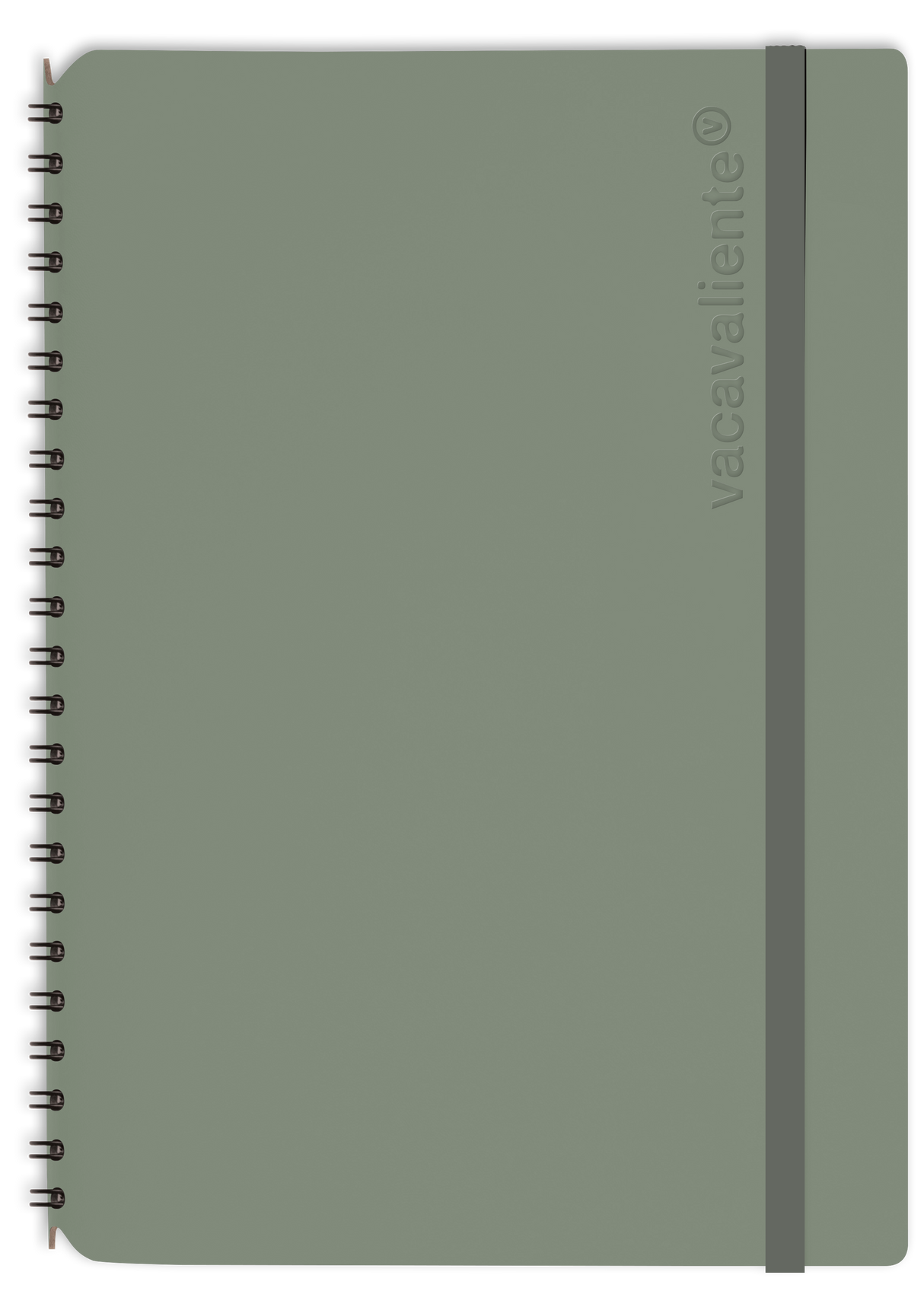 6aefab12ca25929cdcac66a508862cdc