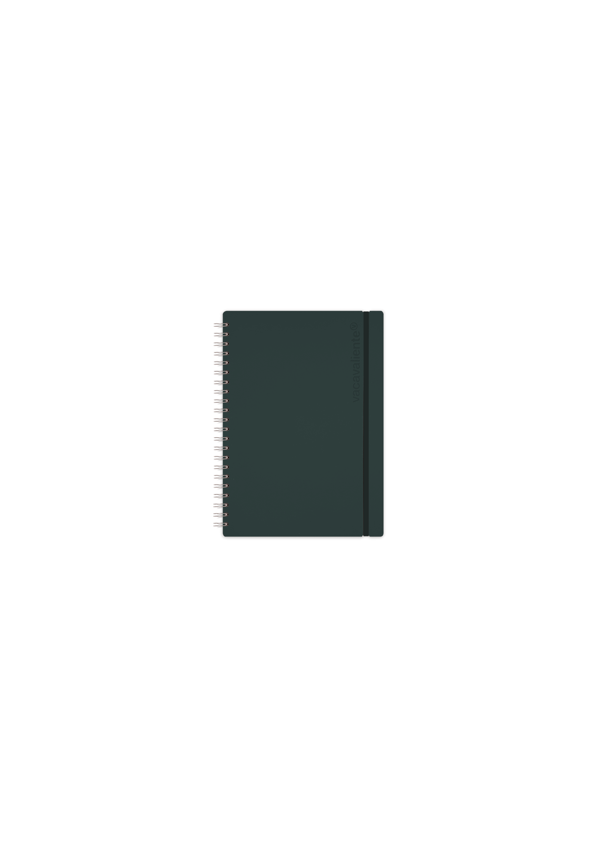 b9e93300731dfde18a5a3a7f48edaf67