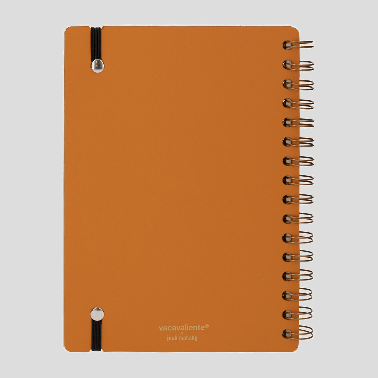 Cuaderno A5 Campeones Países Bajos