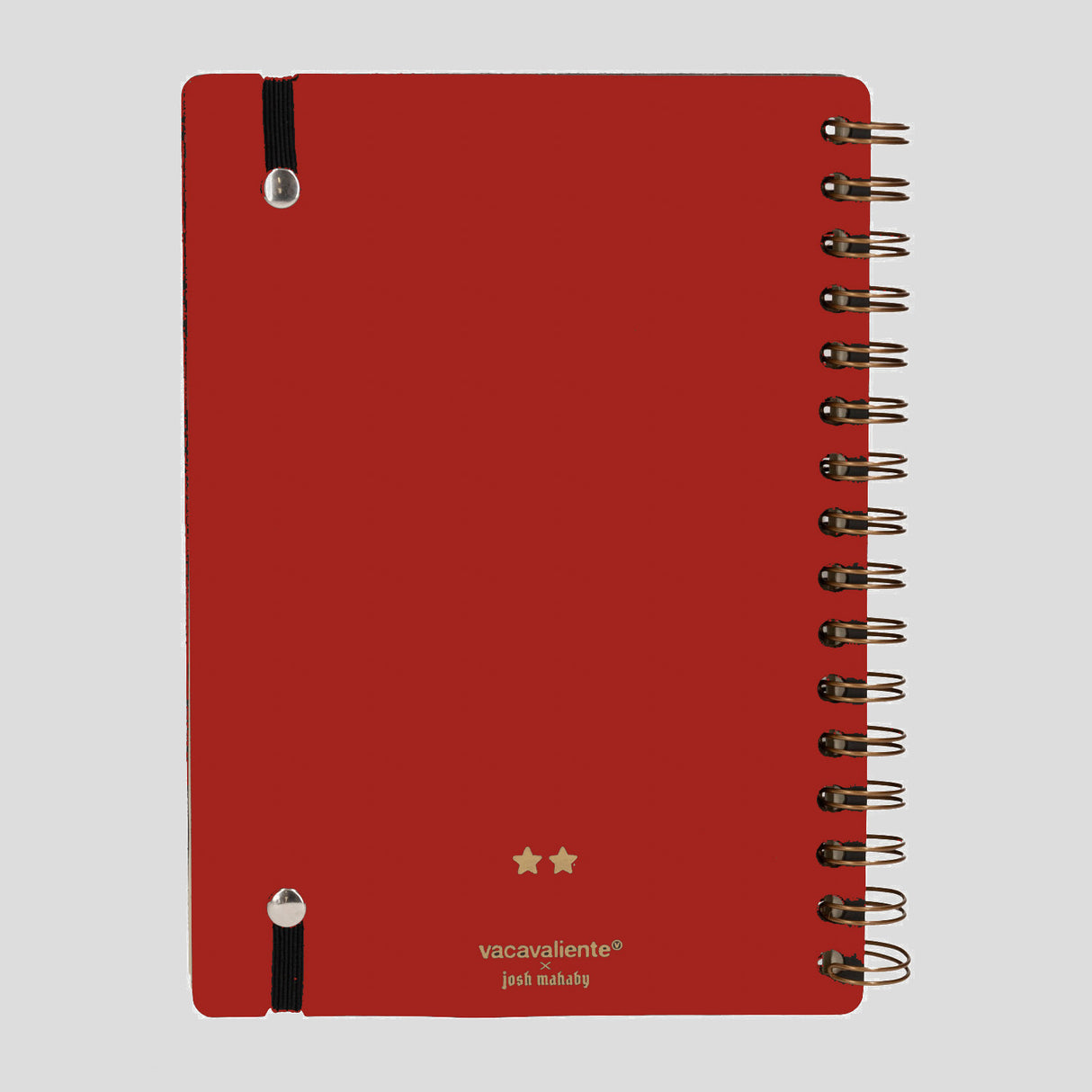 Cuaderno A5 Campeones Francia